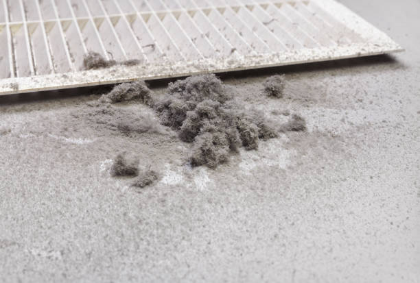 Best Ductwork Cleaning Services  in Magnolia, OH